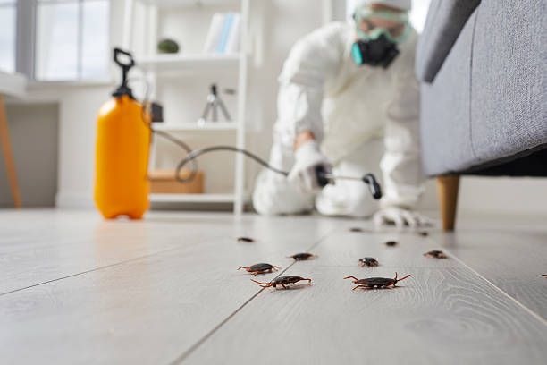 Commercial Kitchen Cockroach Control in Slippery Rock
